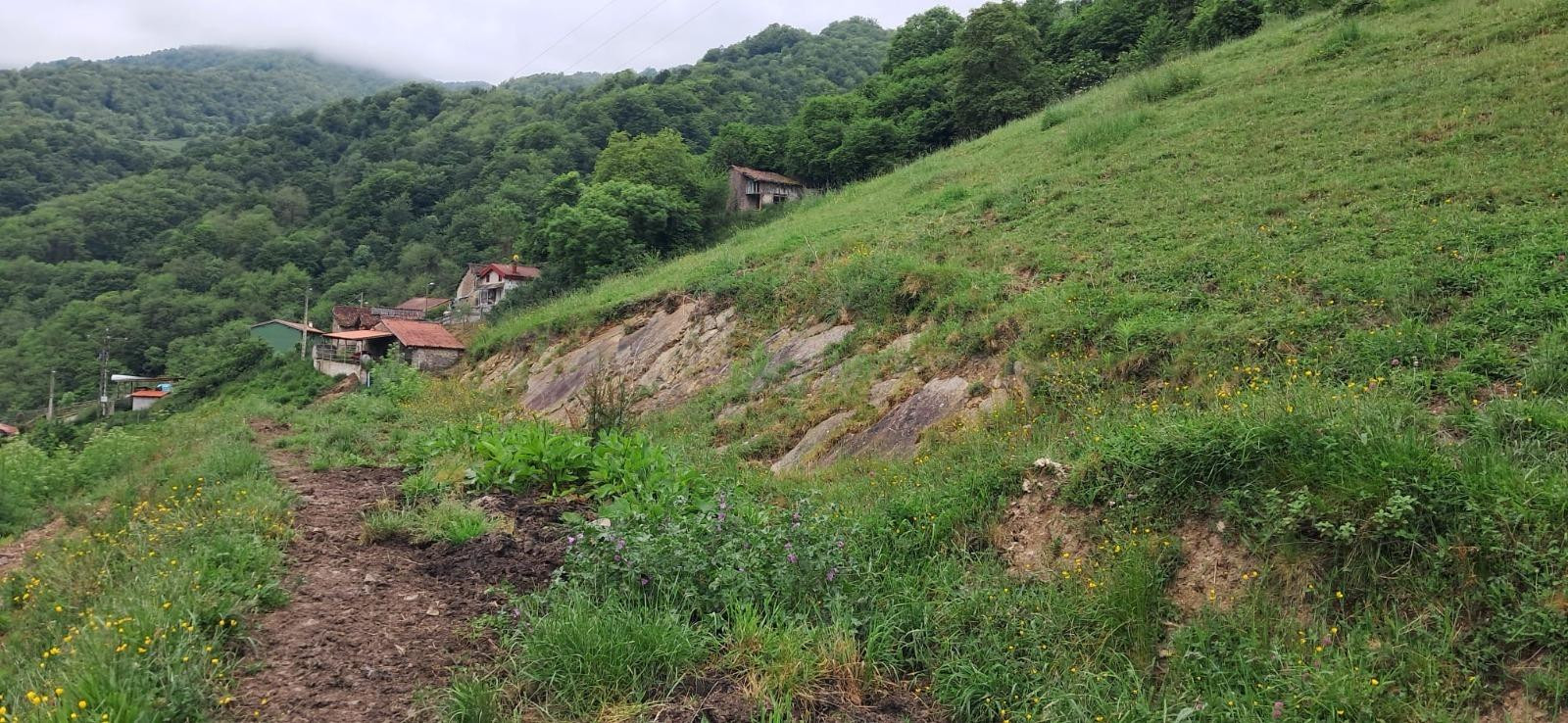 FINCA DE 30.000M2 CON CASA Y CUADRAS - foto 2