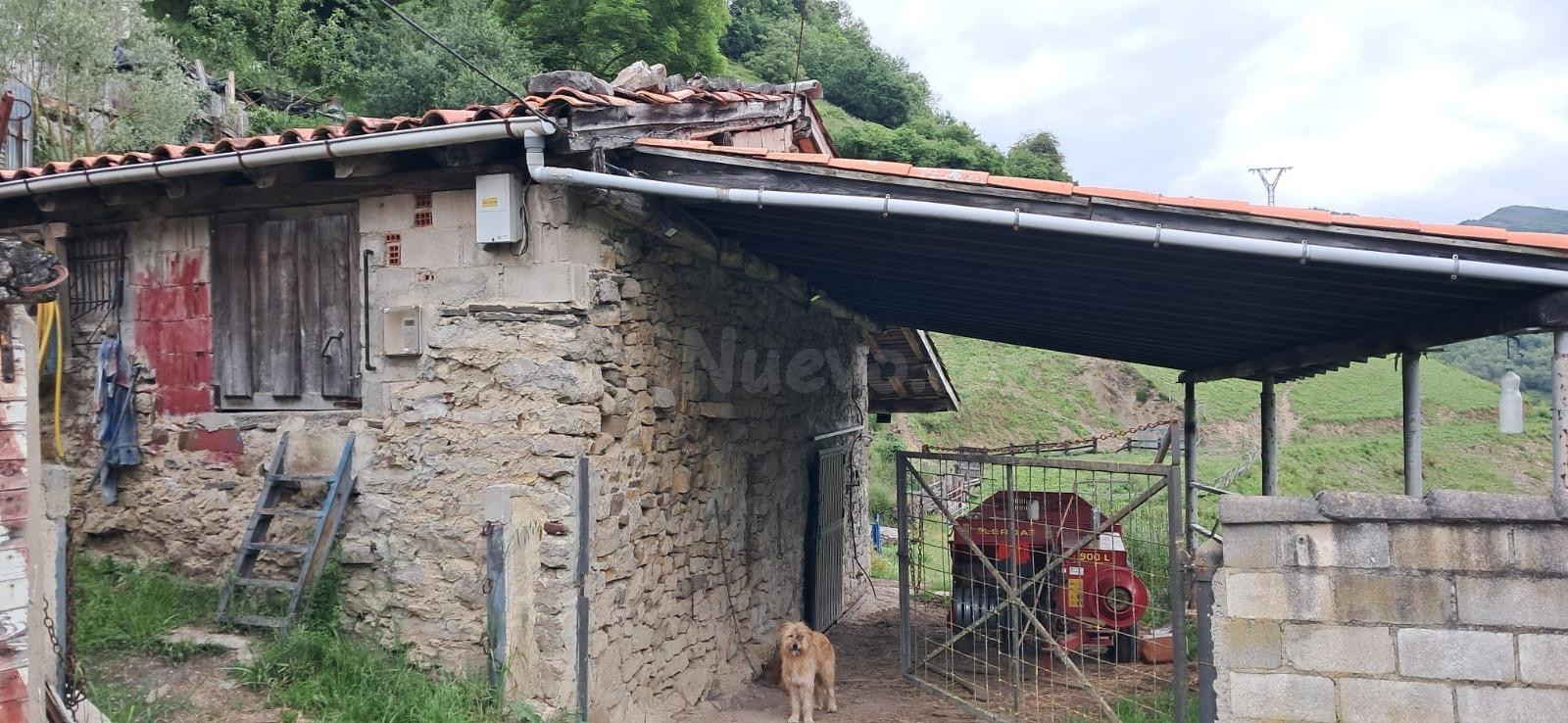 FINCA DE 30.000M2 CON CASA Y CUADRAS - foto 3
