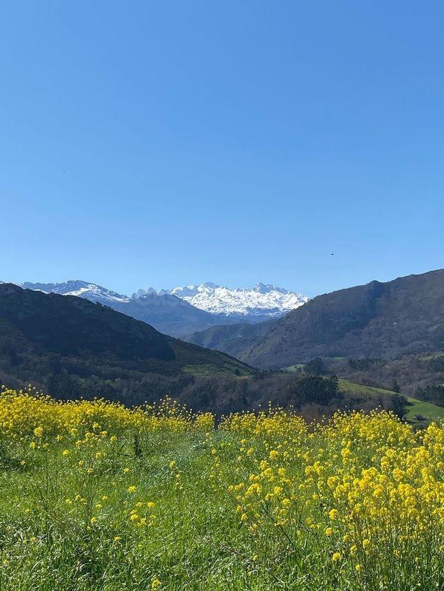 Oportunidad única en Llanes: Terreno Rústico con Vistas al Mar