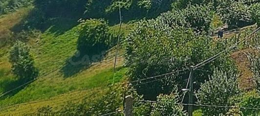 HUERTA EN SALCEDO DE QUIRÓS CON POSIBILIDAD DE ADQUIRIR CASA