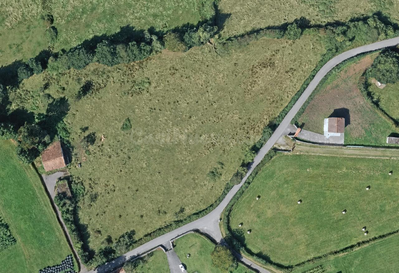 magnífica finca de más de 11.600 m2 ,  en Fonciello (Siero)