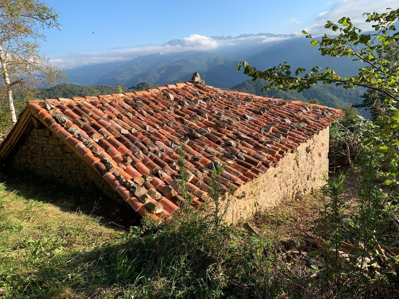 OPORTUNIDAD, CABAÑA A REFORMAR EN SALCEDO DE QUIRÓS - foto 2