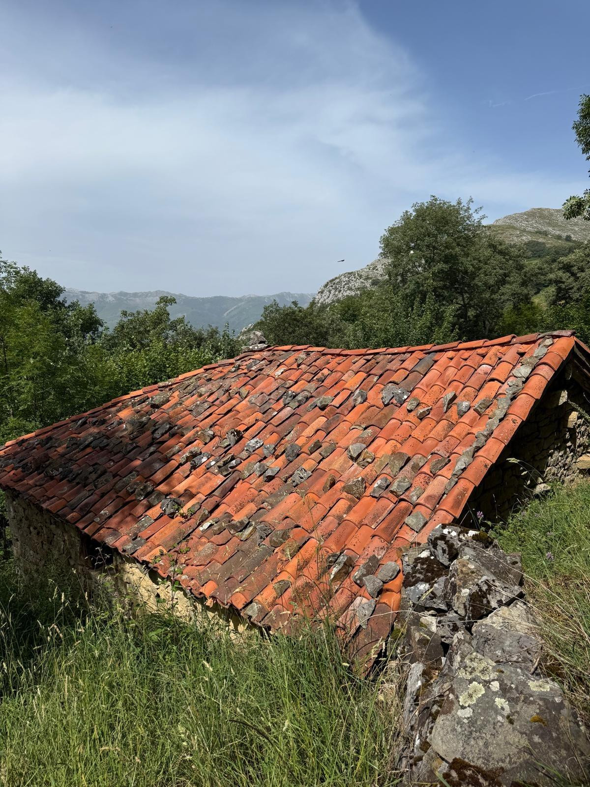 OPORTUNIDAD, CABAÑA A REFORMAR EN SALCEDO DE QUIRÓS - foto 3