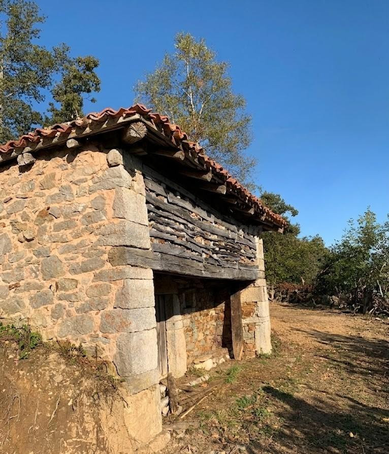 OPORTUNIDAD, CABAÑA A REFORMAR EN SALCEDO DE QUIRÓS - foto 4