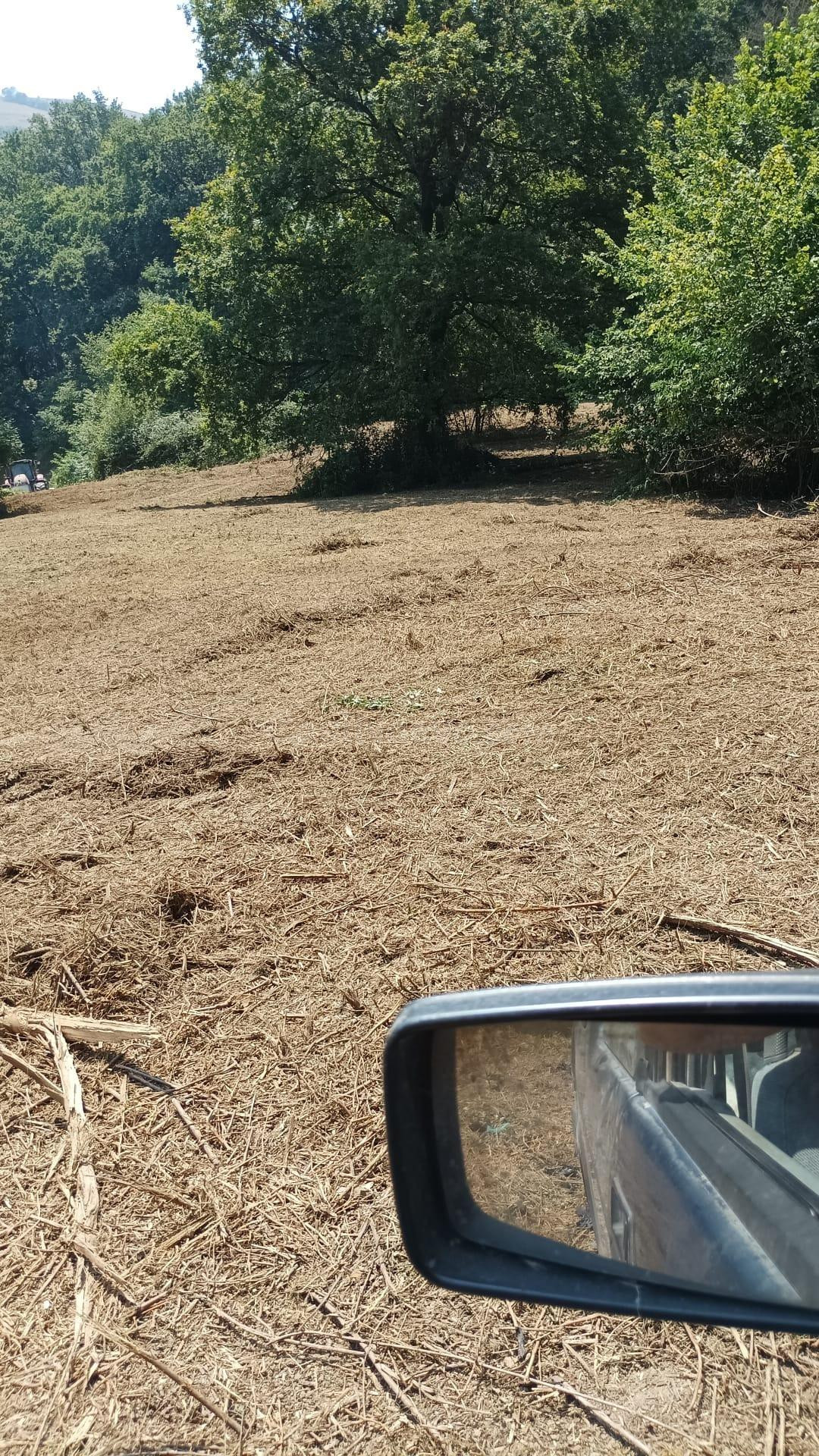 Oportunidad de Inversión en Karrantza Harana: Parcela Urbani - foto 2