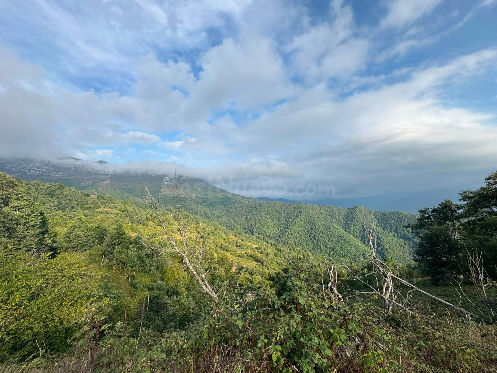 ️ ¡SE VENDE CABAÑA TRADICIONAL CON FINCA DE 6.599 m2 EN SALC
