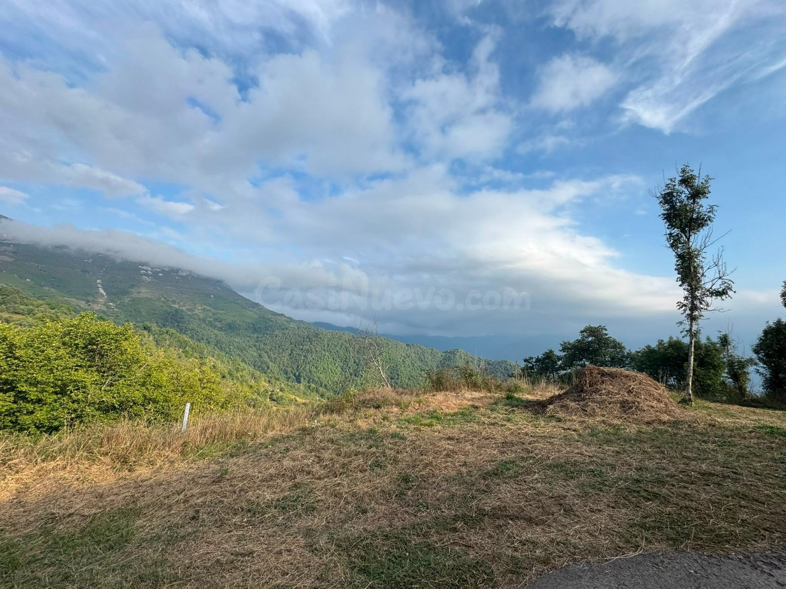 ️ ¡SE VENDE CABAÑA TRADICIONAL CON FINCA DE 6.599 m2 EN SALC - foto 2