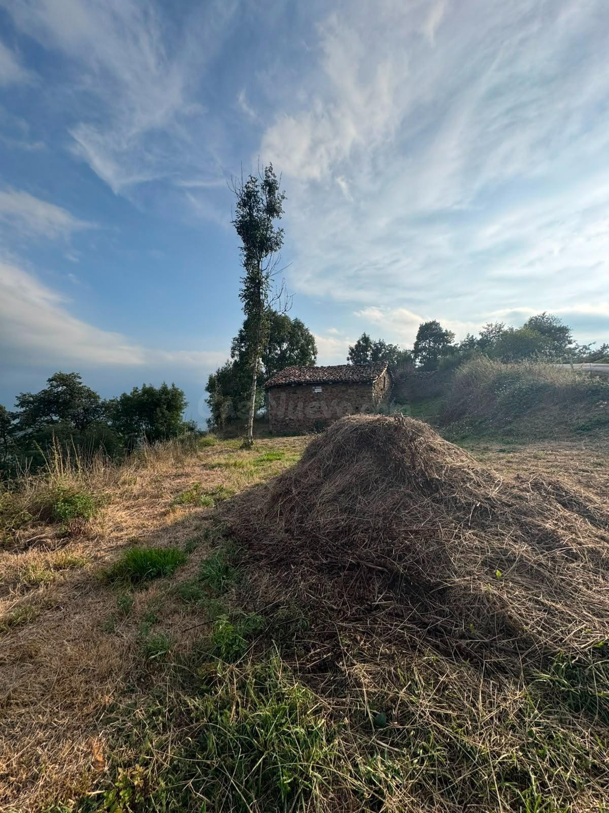 ️ ¡SE VENDE CABAÑA TRADICIONAL CON FINCA DE 6.599 m2 EN SALC - foto 3