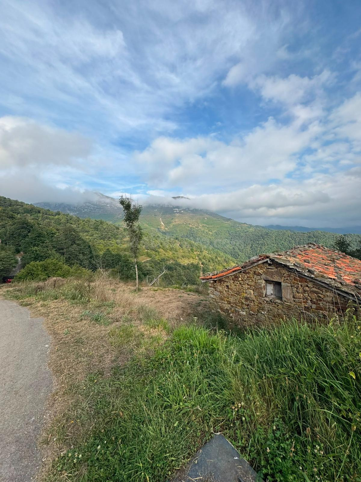 ️ ¡SE VENDE CABAÑA TRADICIONAL CON FINCA DE 6.599 m2 EN SALC - foto 4