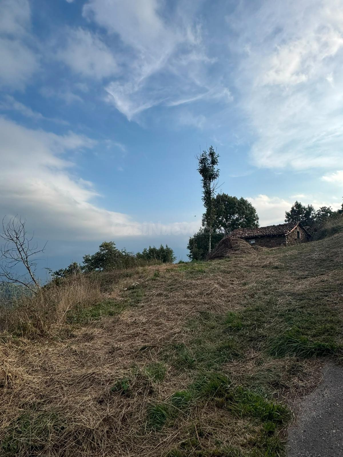 ️ ¡SE VENDE CABAÑA TRADICIONAL CON FINCA DE 6.599 m2 EN SALC - foto 5