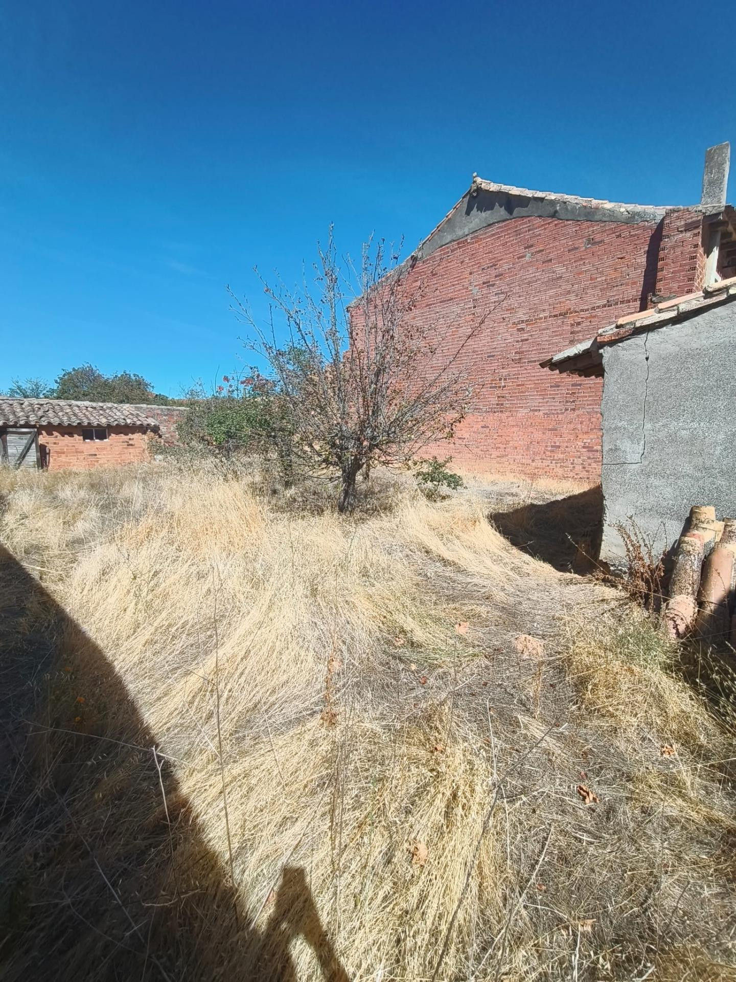 Encantadora Casa de Pueblo en Arenillas de Riopisuerga - ¡Oportunidad Única por 45,000€!