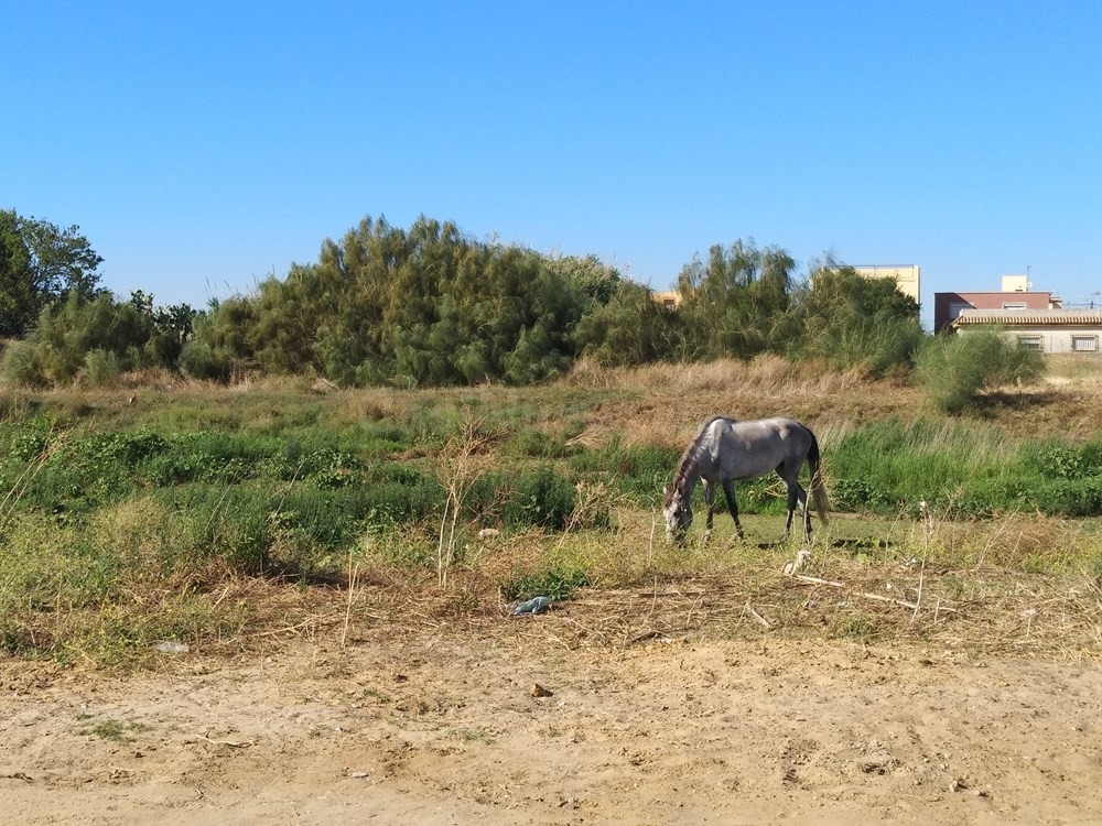 Solar 1000m² en venta - Centro