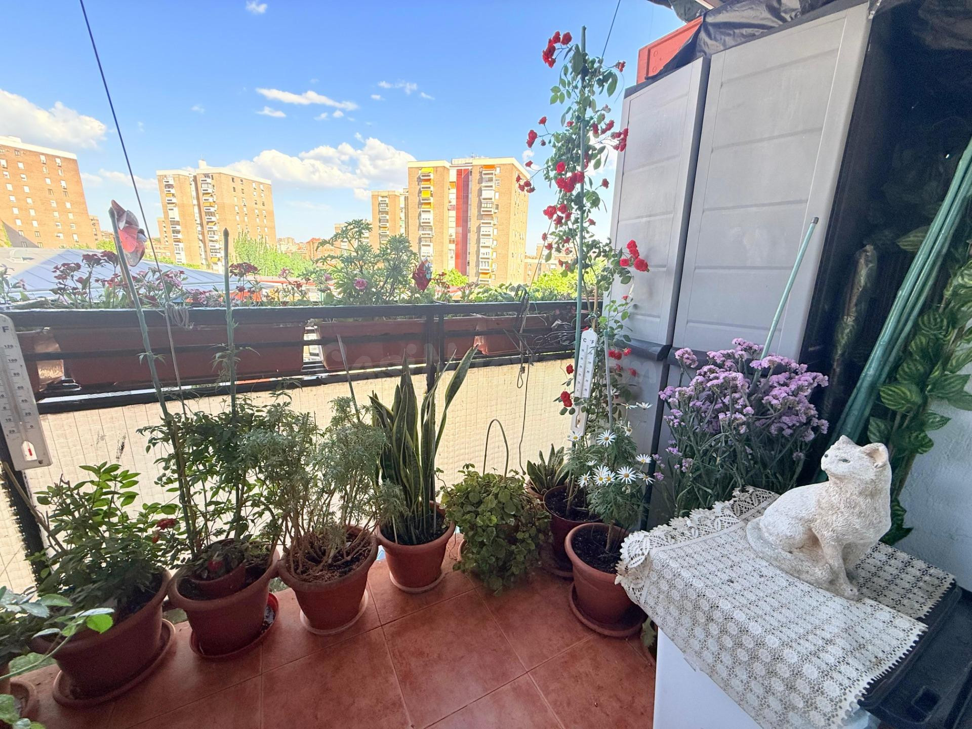 NUDA PROPIEDAD · Piso exterior de 100 m2 con terraza y ascensor · Barrio de La Estrella, Retiro · Madrid