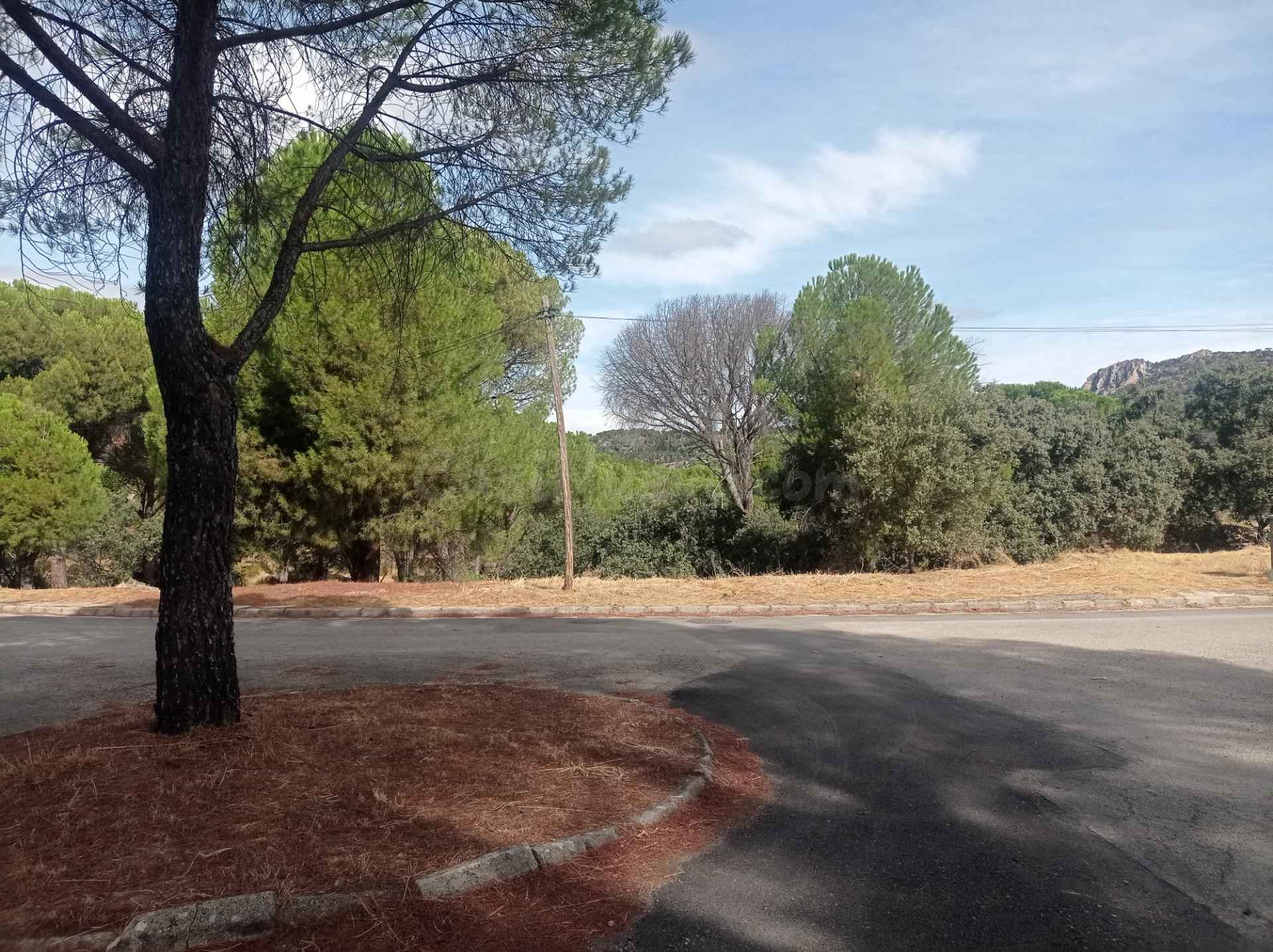 Parcela urbana en Costa de Madrid, en zona tranquila.