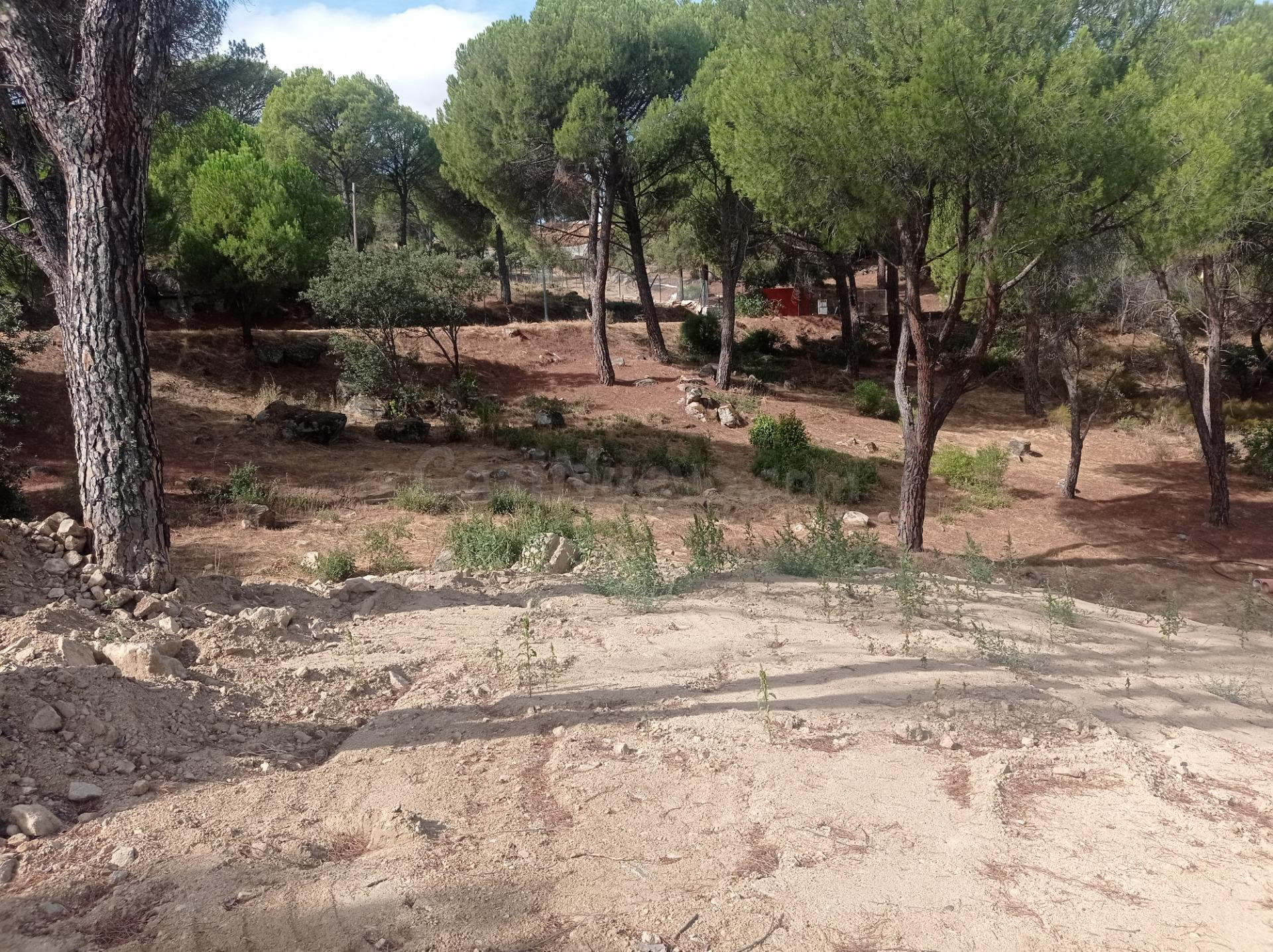 Parcela urbana en Costa de Madrid, en zona tranquila. - foto 2