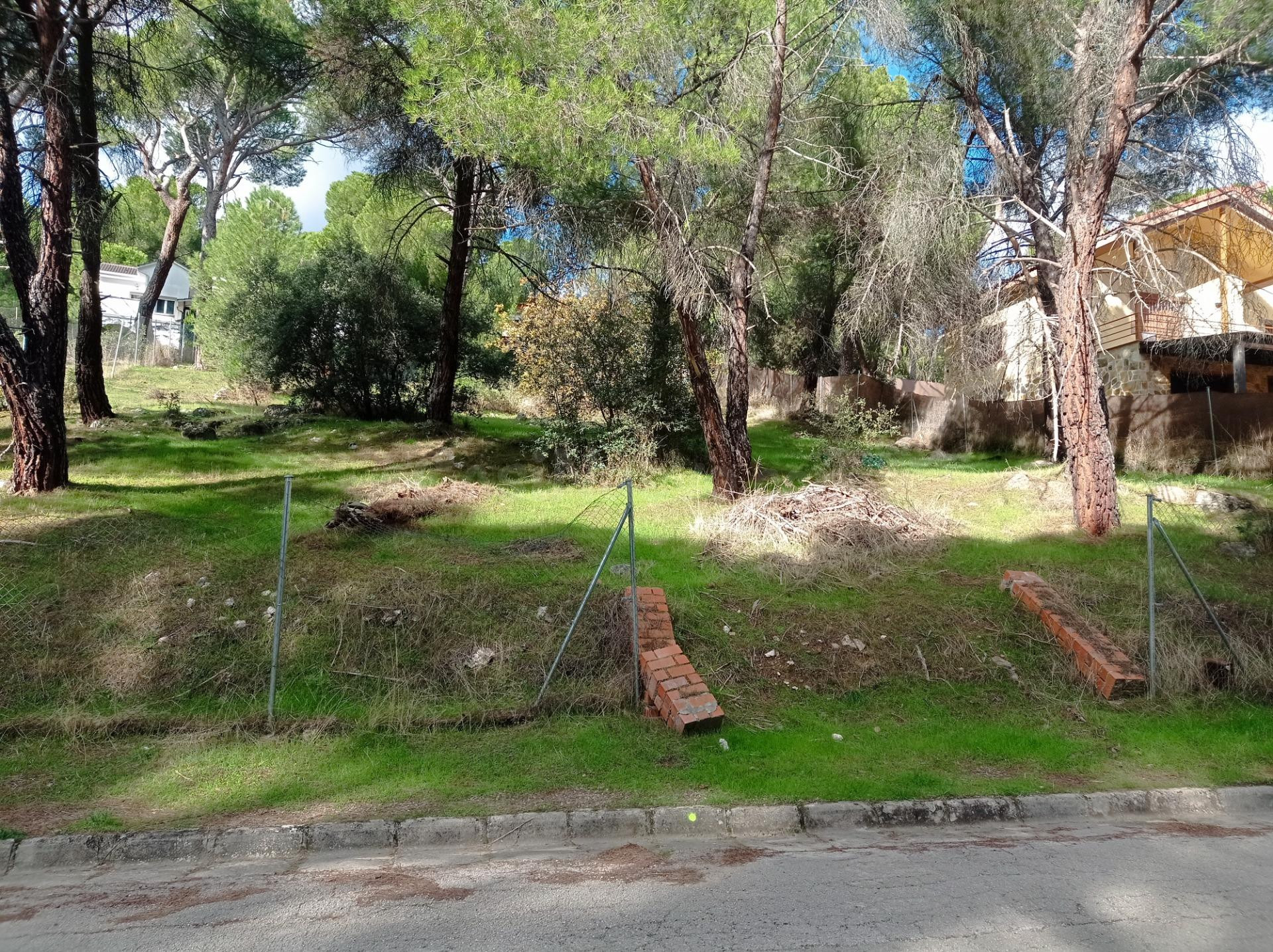 PARCELA TRANQUILA EN COSTA MADRID