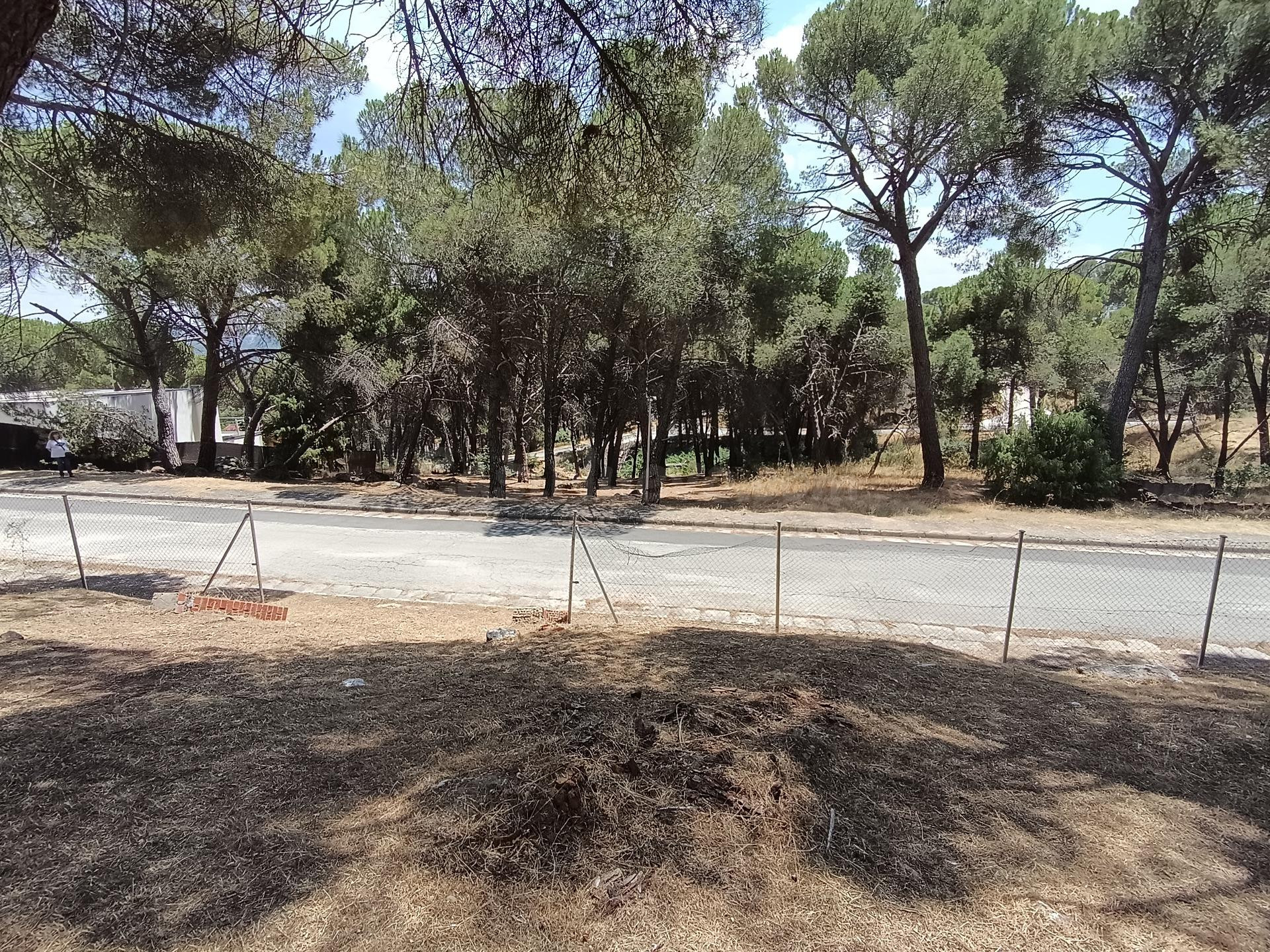 PARCELA TRANQUILA EN COSTA MADRID - foto 5