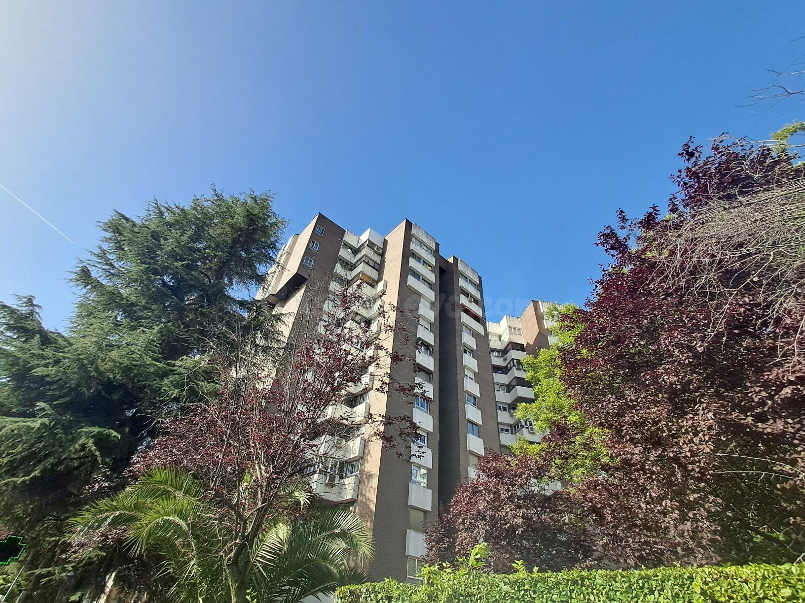 " EXCLUSIVA OPORTUNIDAD DE INVERSION EN NUDA PROPIEDAD" Urbanización  Euronorte: amplia vivienda con terraza en una de las mejores urbanizaciones de Madrid"