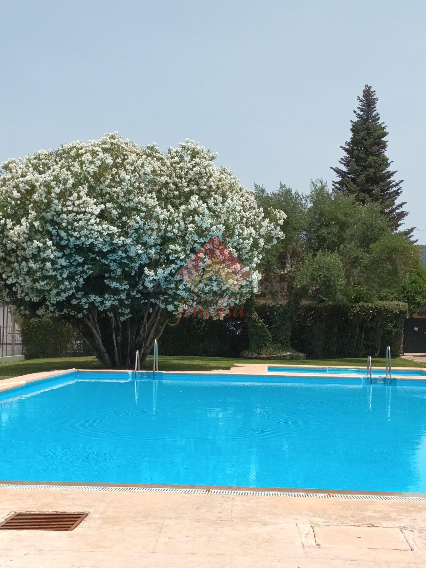 ¡¡ESTUPENDO CHALET CON NEGOCIO!! - foto 2
