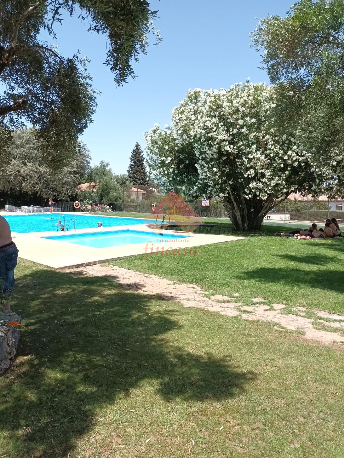 ¡¡ESTUPENDO CHALET CON NEGOCIO!! - foto 4