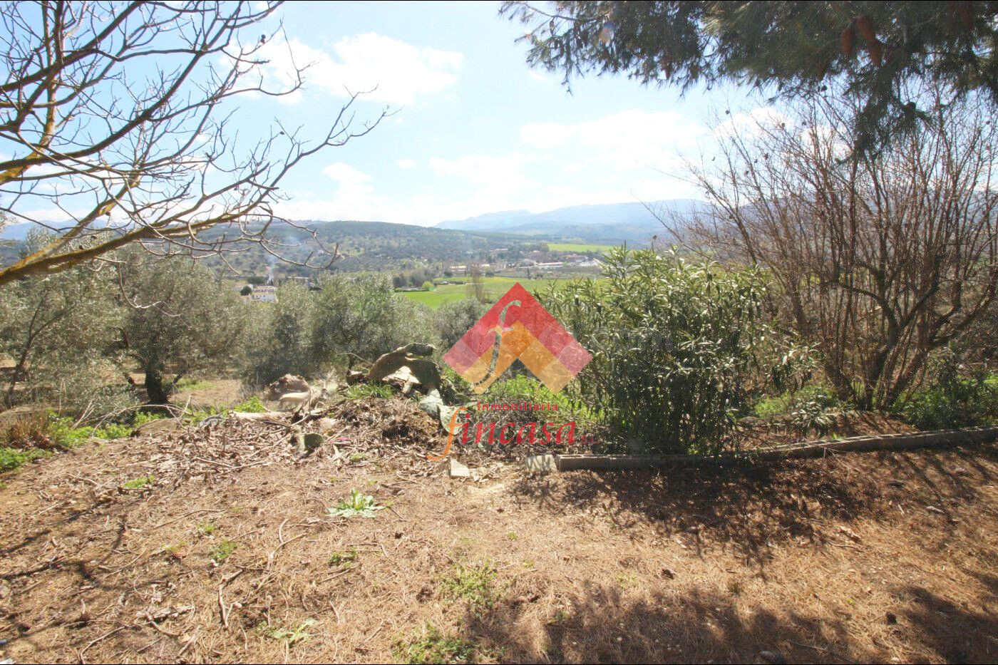 SE VENDE FINCA RÚSTICA EN RONDA LA VIEJA