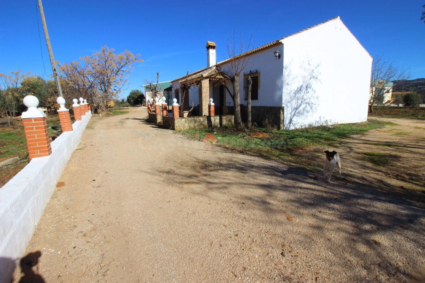 FINCA CON NAVE Y VIVIENDA MUY PRÓXIMA A RONDA