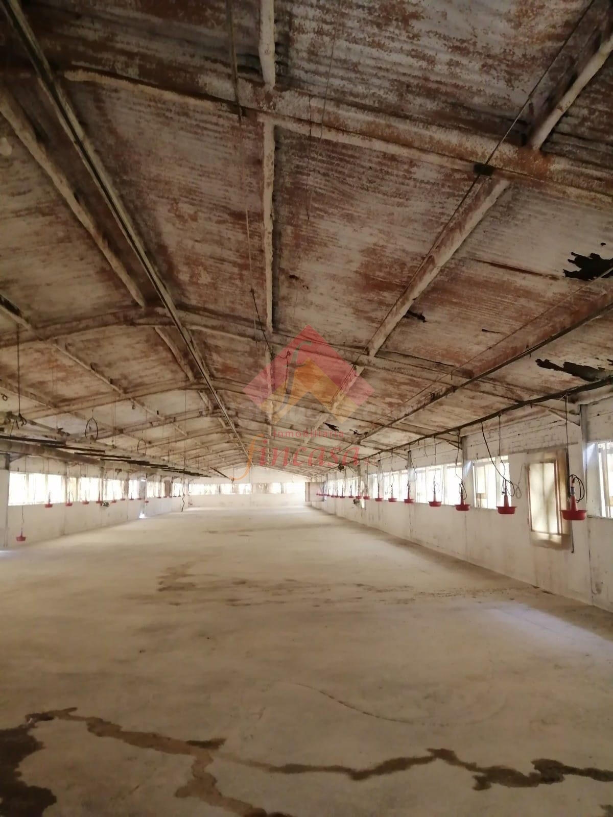 Nave industrial 3000m² en alquiler - Arriate