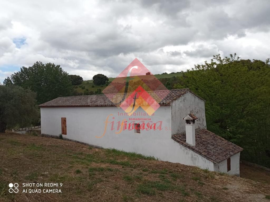 FINCA RÚSTICA CON CORTIJO EN EL LLANO DE LA CRUZ