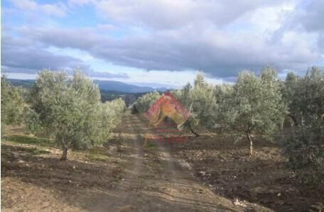 ¡¡REBAJADA DE PRECIO, ANTES 350.000€!!