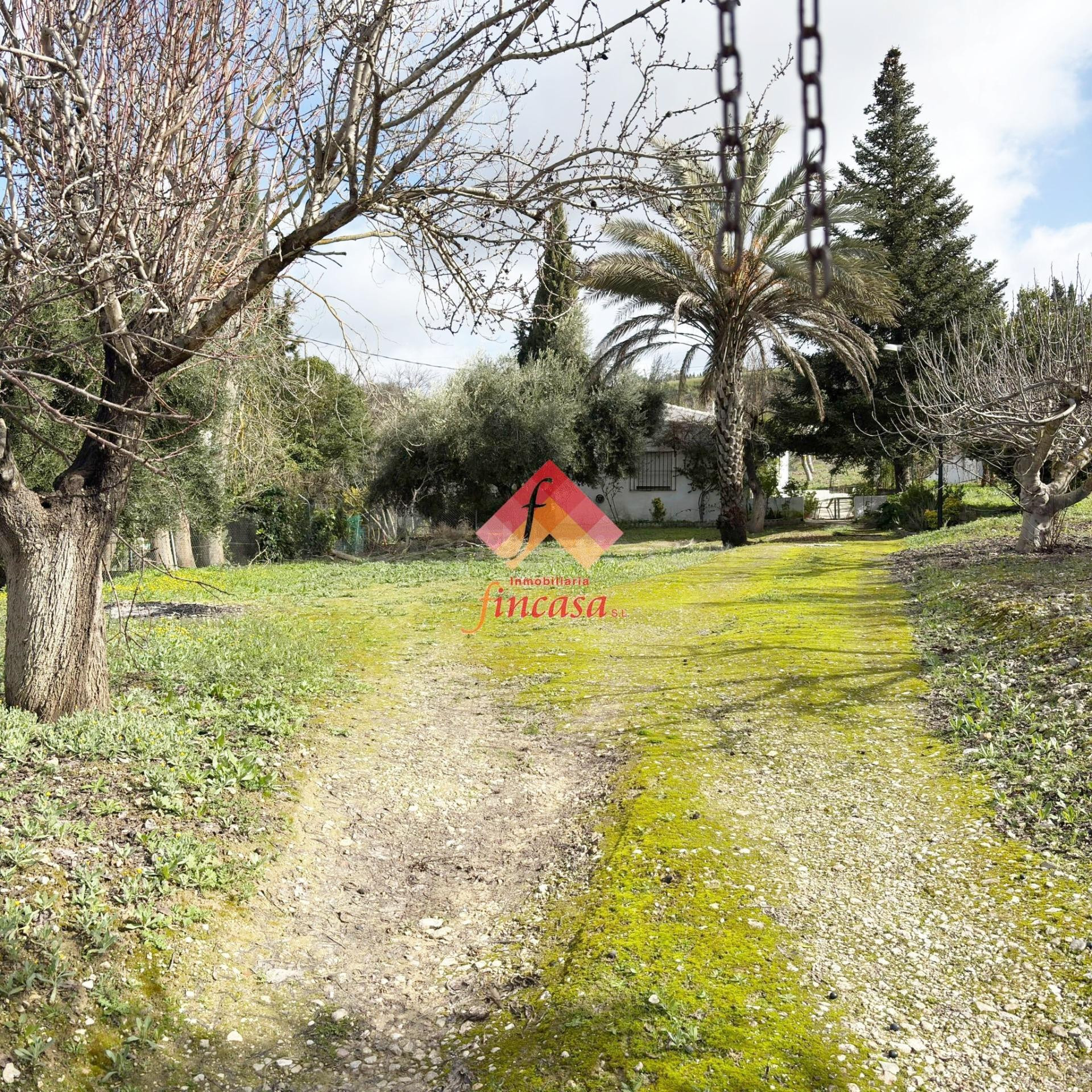 ¡¡REBAJADA DE PRECIO, ANTES EN 270.000€!!