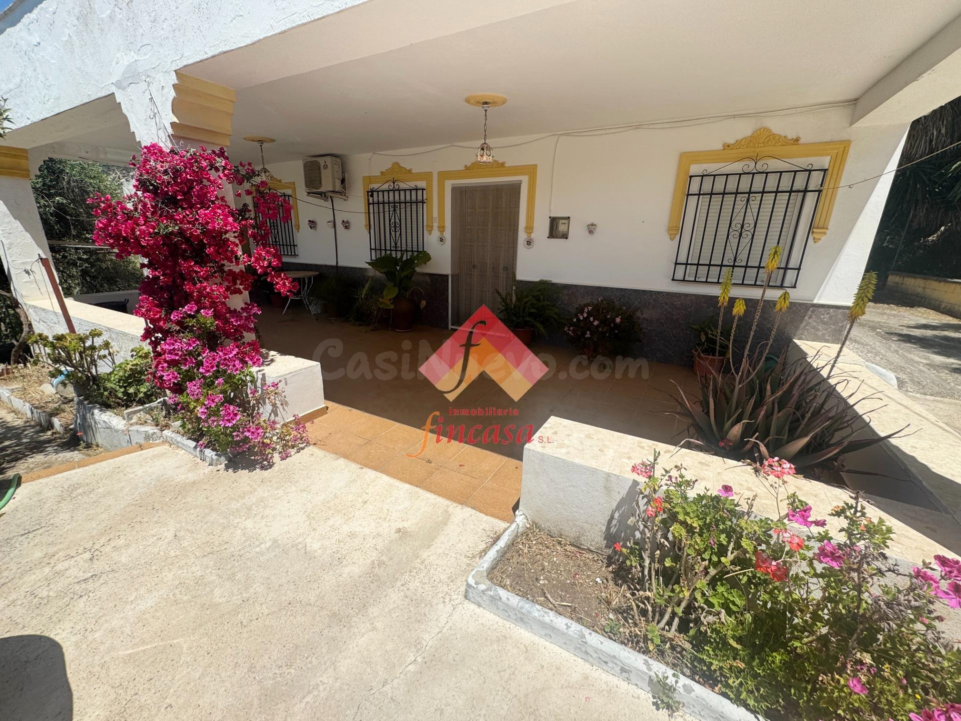SE VENDE FINCA RUSTICA EN LA CIMADA