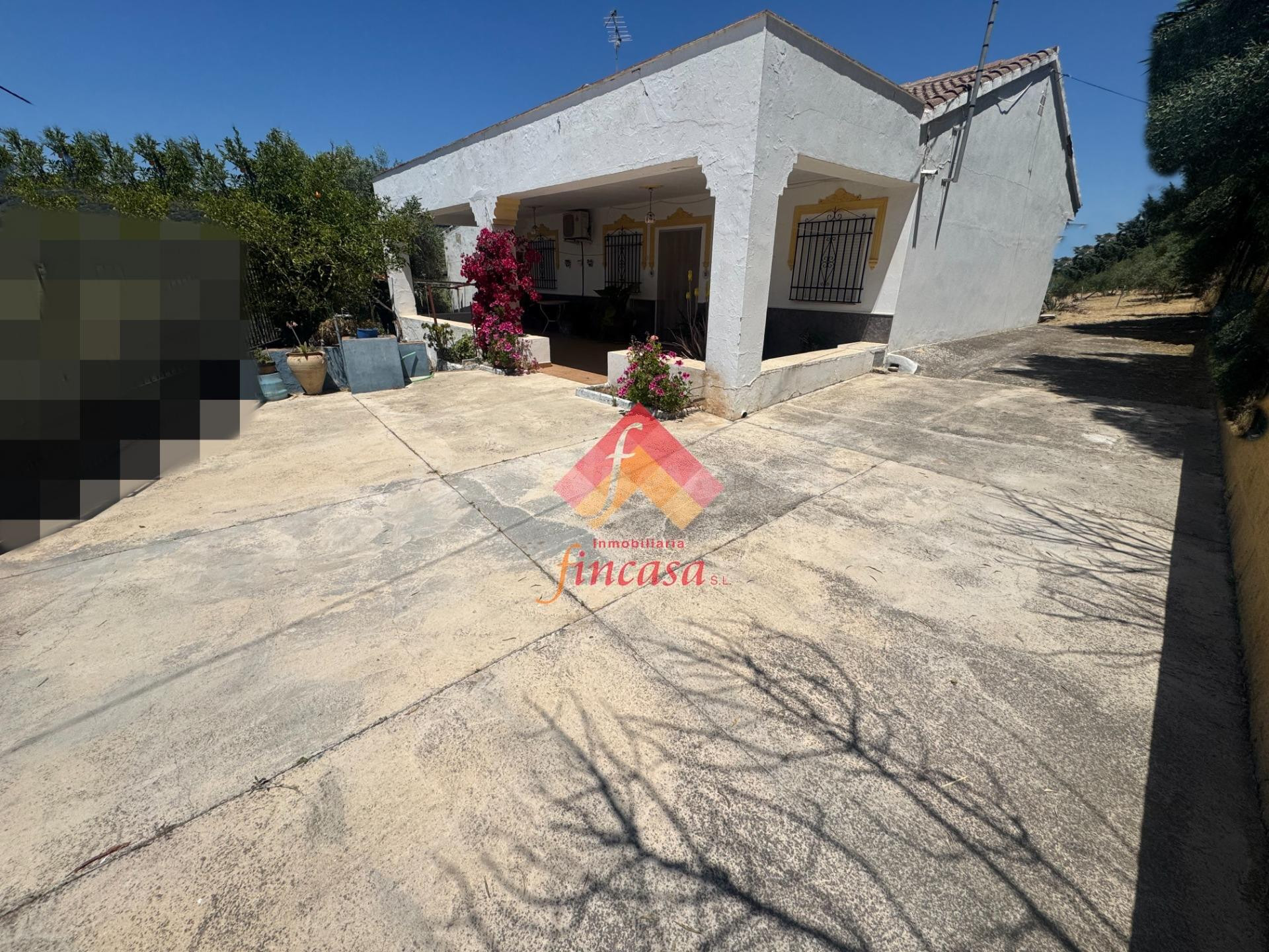 SE VENDE FINCA RUSTICA EN LA CIMADA - foto 5