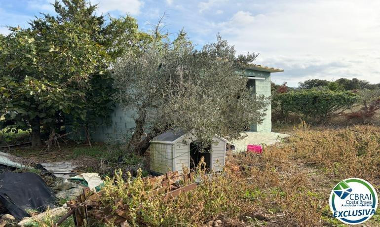 Terreno agrícola destinado a olivar y a huerto, de 8.606 M2.
