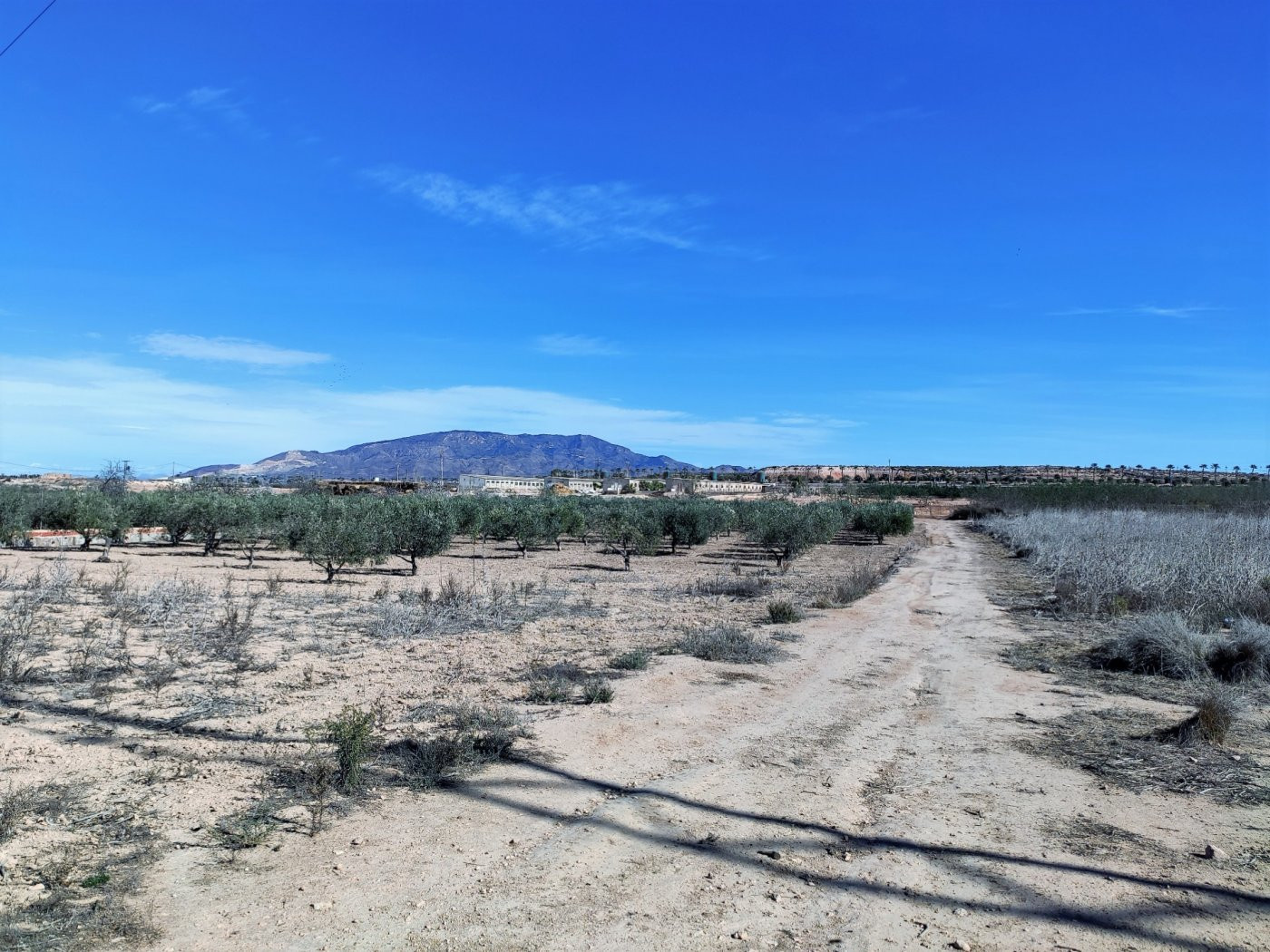 Terreno rústico en Alhama de Murcia - foto 4