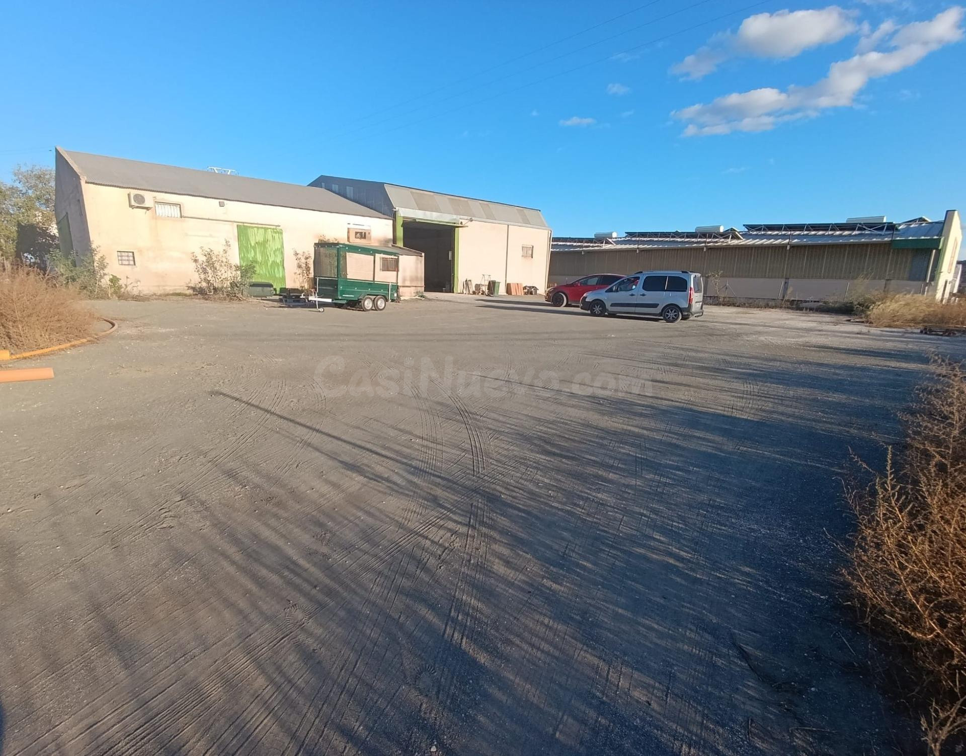 NAVE CON CAMPA EN CALASPARRA