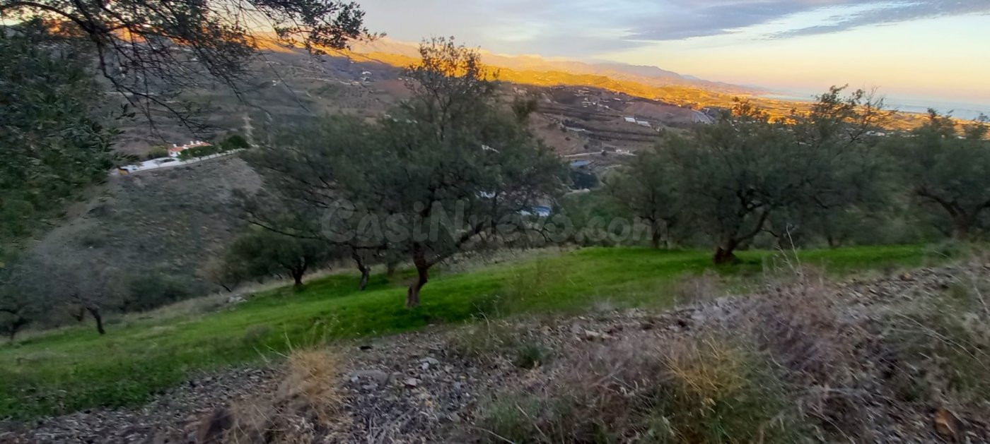 GRAN FINCA RÚSTICA EN BENAJARAFE