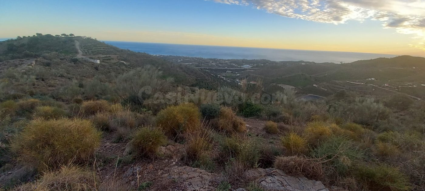 GRAN FINCA RÚSTICA EN BENAJARAFE - foto 3
