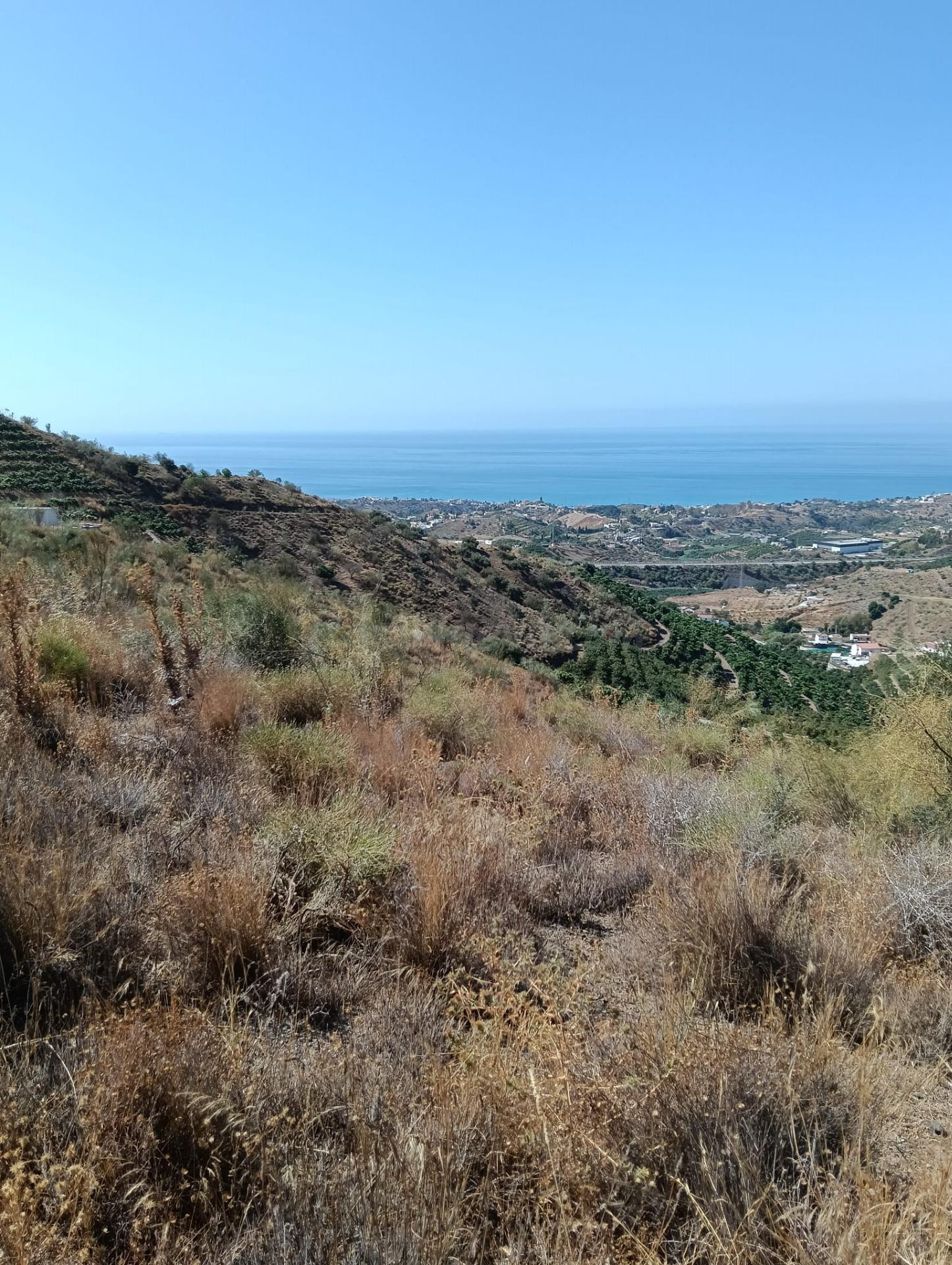 GRAN FINCA RÚSTICA EN BENAJARAFE - foto 4