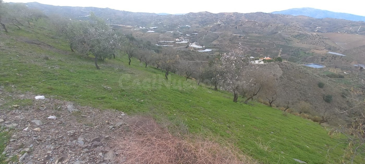 GRAN FINCA RÚSTICA EN BENAJARAFE - foto 5