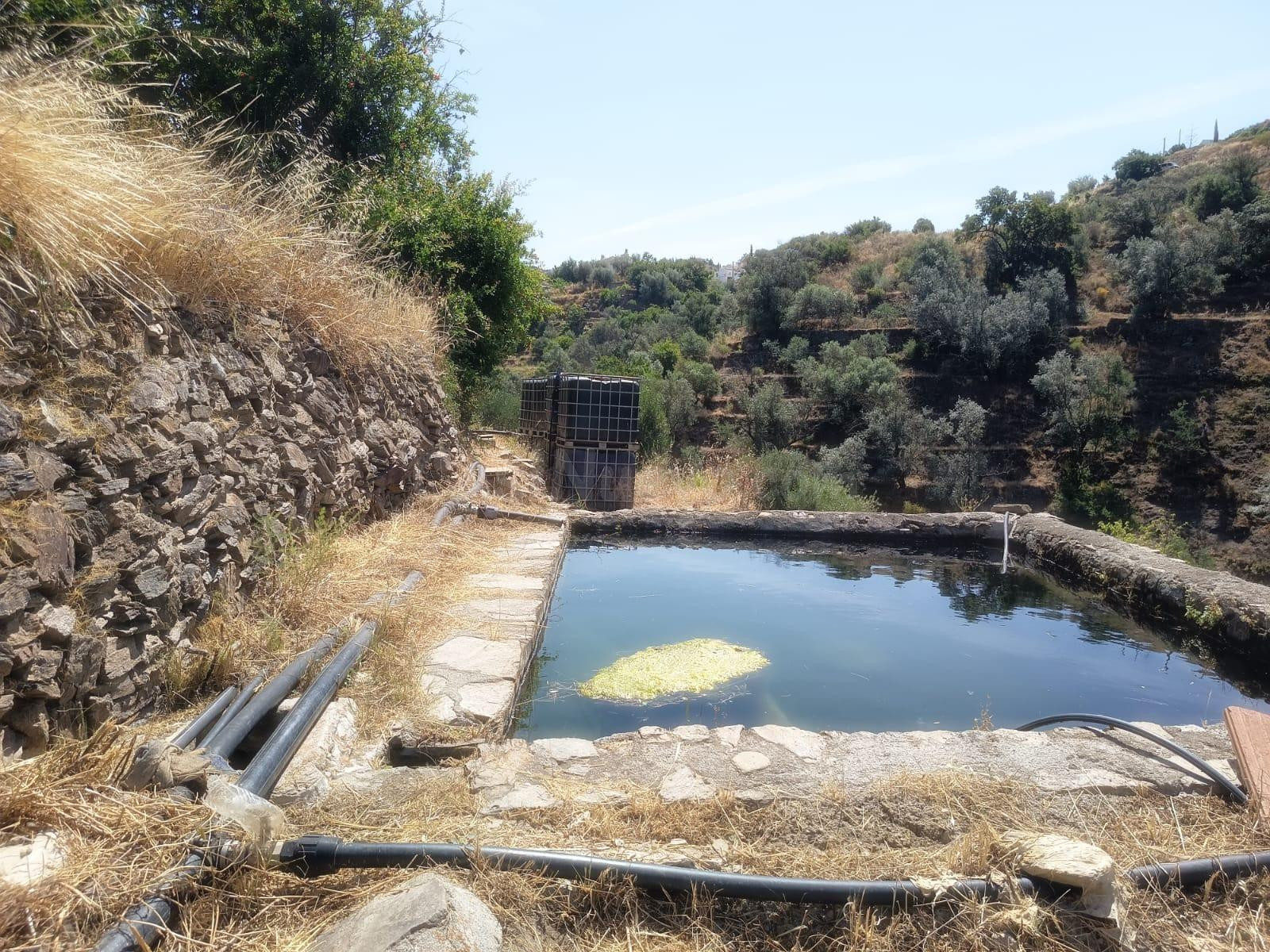 Finca en venta en Canillas de Aceituno