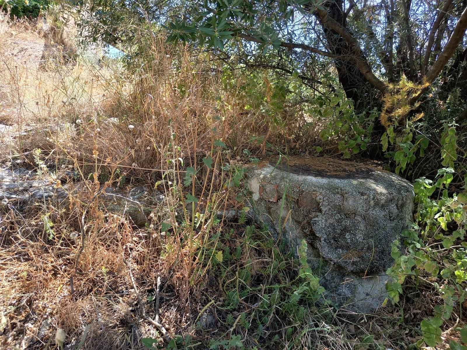 Finca en venta en Canillas de Aceituno - foto 5