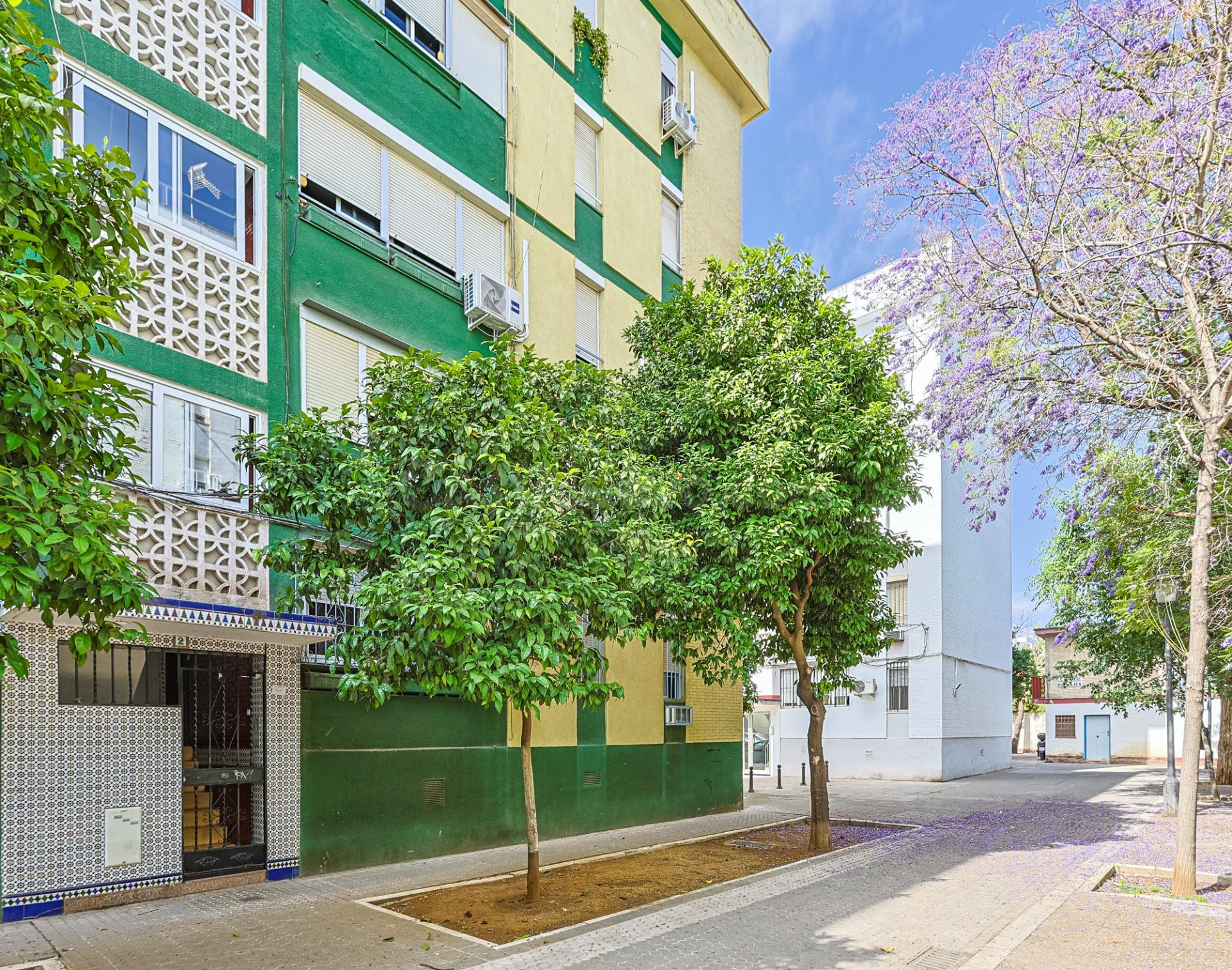 4 Dormitorios con Terraza y Trastero en San Pablo — 98 m2