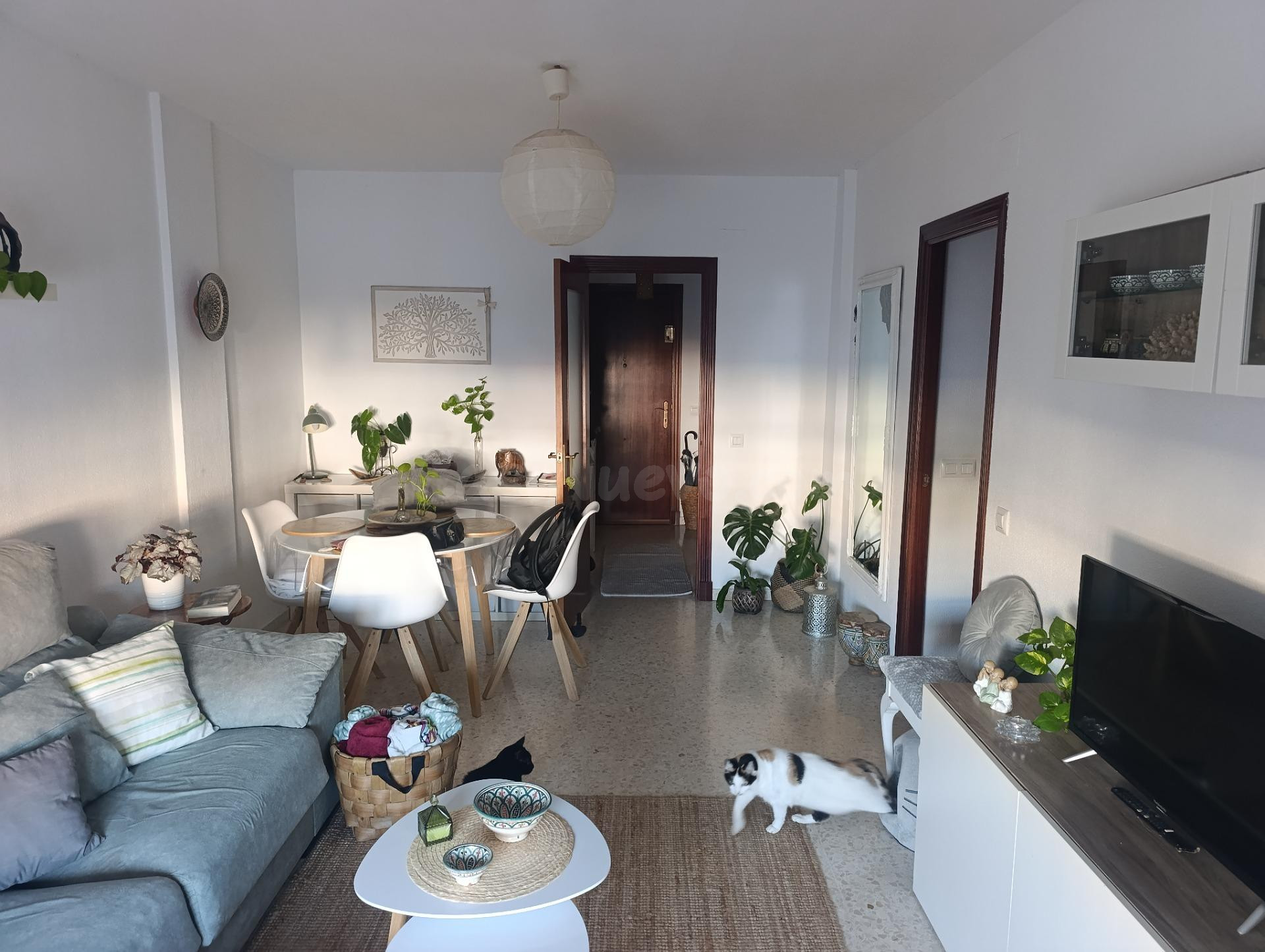 SE VENDE PISO EN SAN FERNANDO , ZONA RONDA DEL ESTERO - foto 2