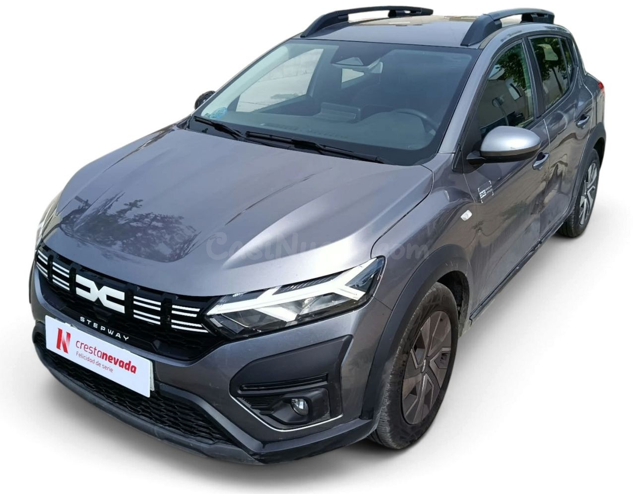 Dacia Sandero Stepway Expression 74kW 100CV ECOG