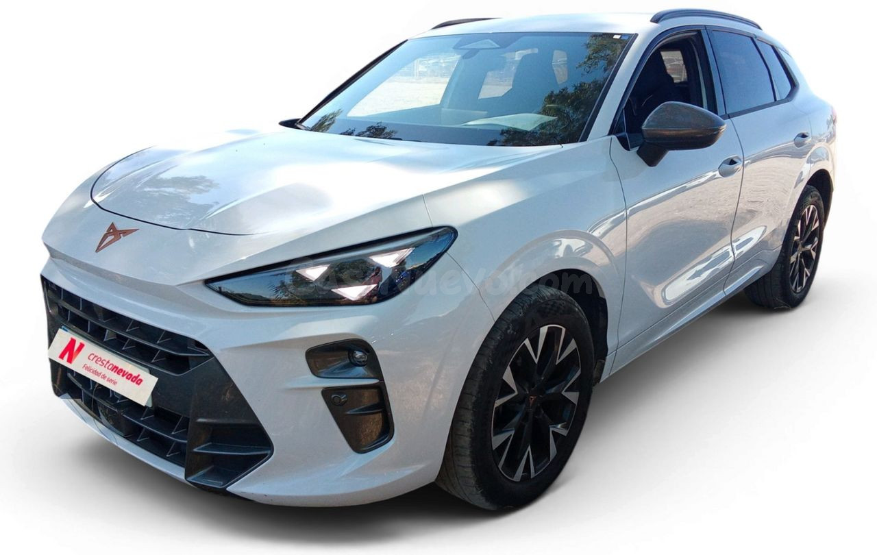 Cupra Terramar 1.5 eTSI 110kW 150 CV DSG