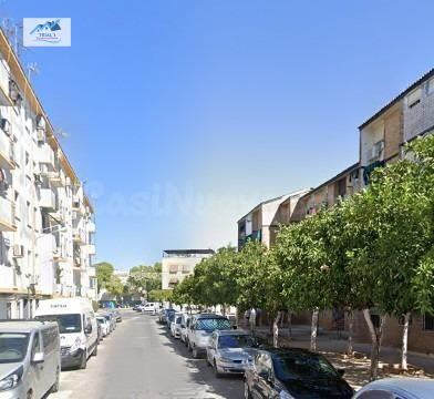 Venta Piso en Montilla - Córdoba - foto 2