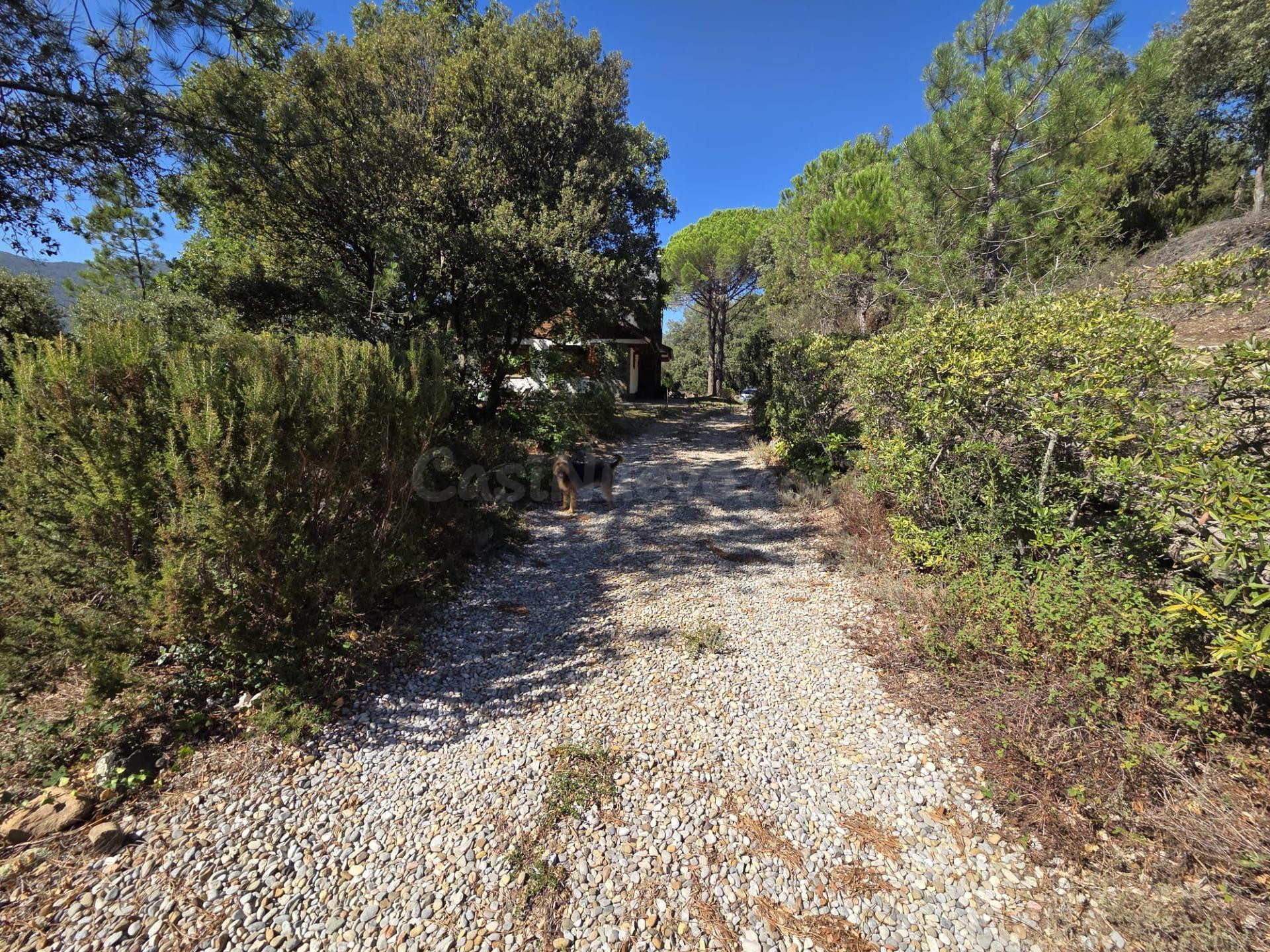 MONTSENY (PARQUE NATURAL):  CHALET CON IMPRESIONANTES VISTAS - foto 2