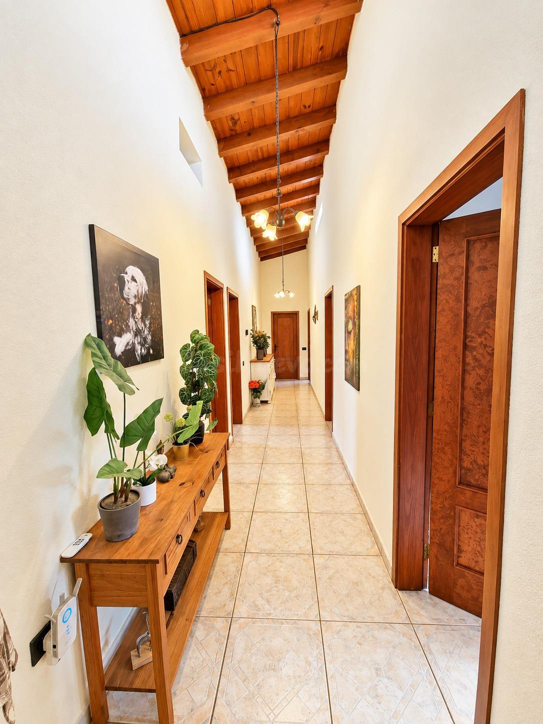 # FINCA PANORÁMICA CON CASA DE INVITADOS Y VISTAS AL ATLÁNTI - foto 5