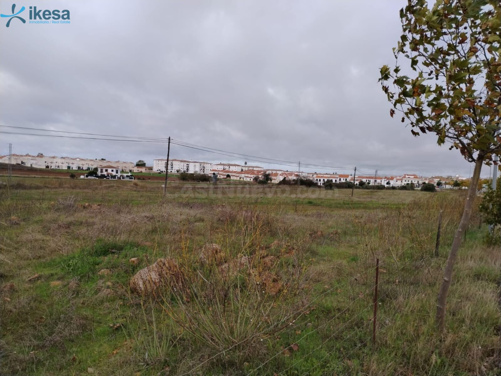 Venta de Finca Rústica en Olivenza (Badajoz)