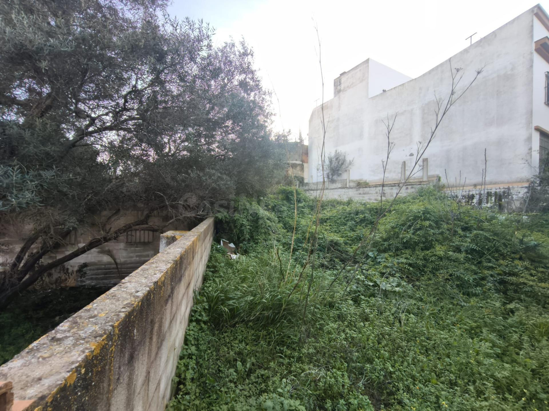 Suelo urbano no consolidado en venta para 43 viviendas pluri - foto 4